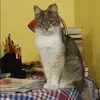 Отзыв от Лилия Гончарова